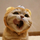 阿丁's avatar